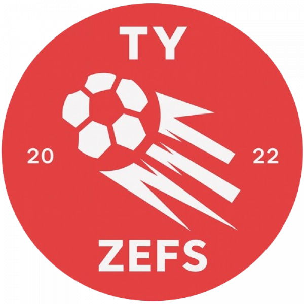 Homepage screenshot of tyzefs.bzh